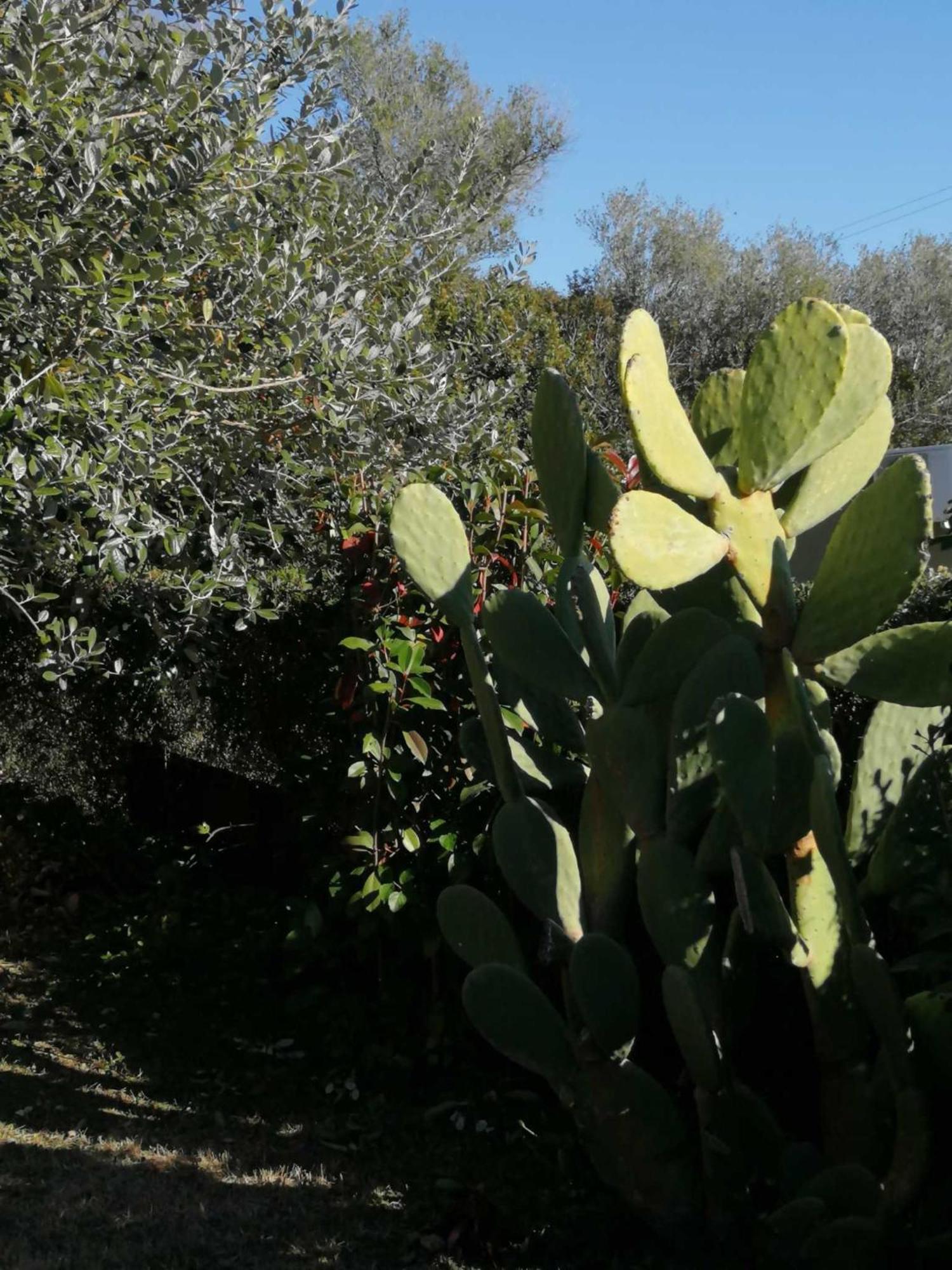 Villa Sa Domu De Orri Al Mare Tortolì Esterno foto