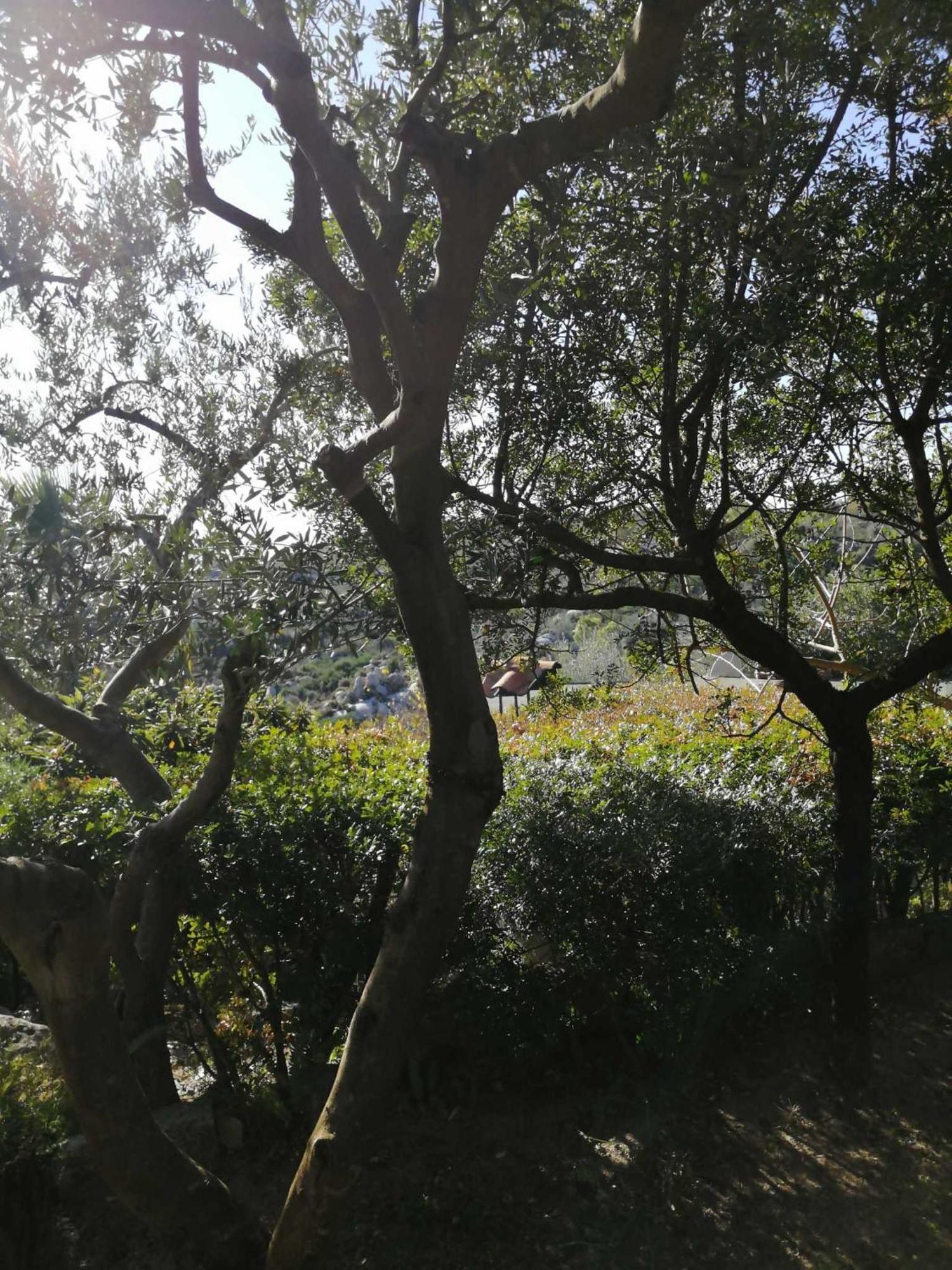 Villa Sa Domu De Orri Al Mare Tortolì Esterno foto